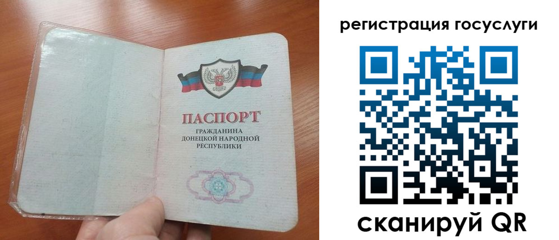 прописка поиск в Ростове-на-Дону